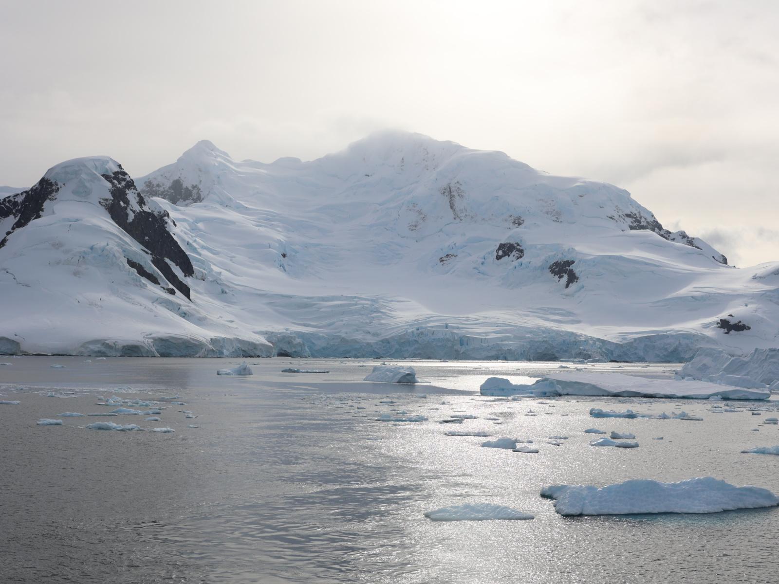L’Antarctique : le continent glacé à découvrir