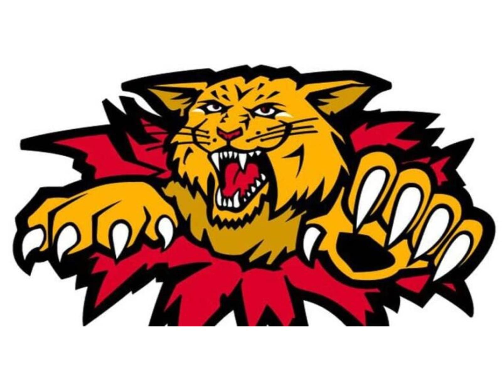 Wildcats : Entraineur chef et directeur opérations hockey recherchés