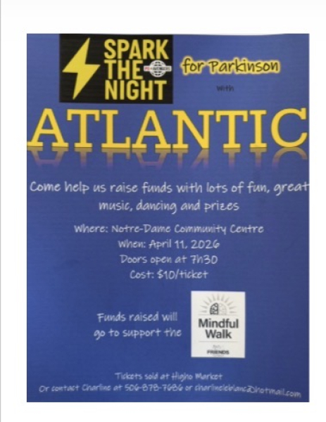 Party Spark the Night pour Parkinson