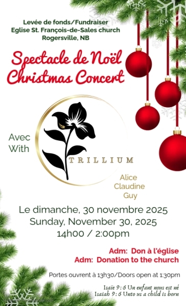 Spectacle de musique de Noël
