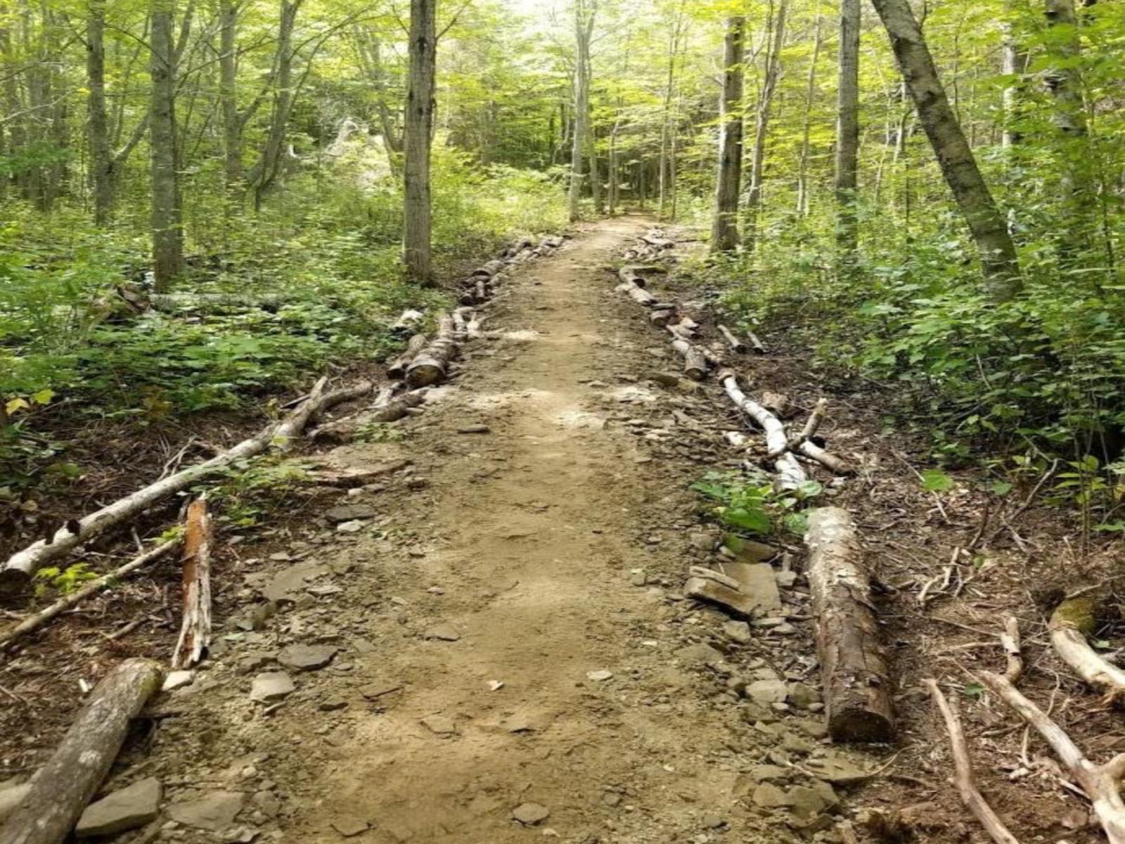 La fête communautaire de Grande-Digue, une belle sortie ... Image 1