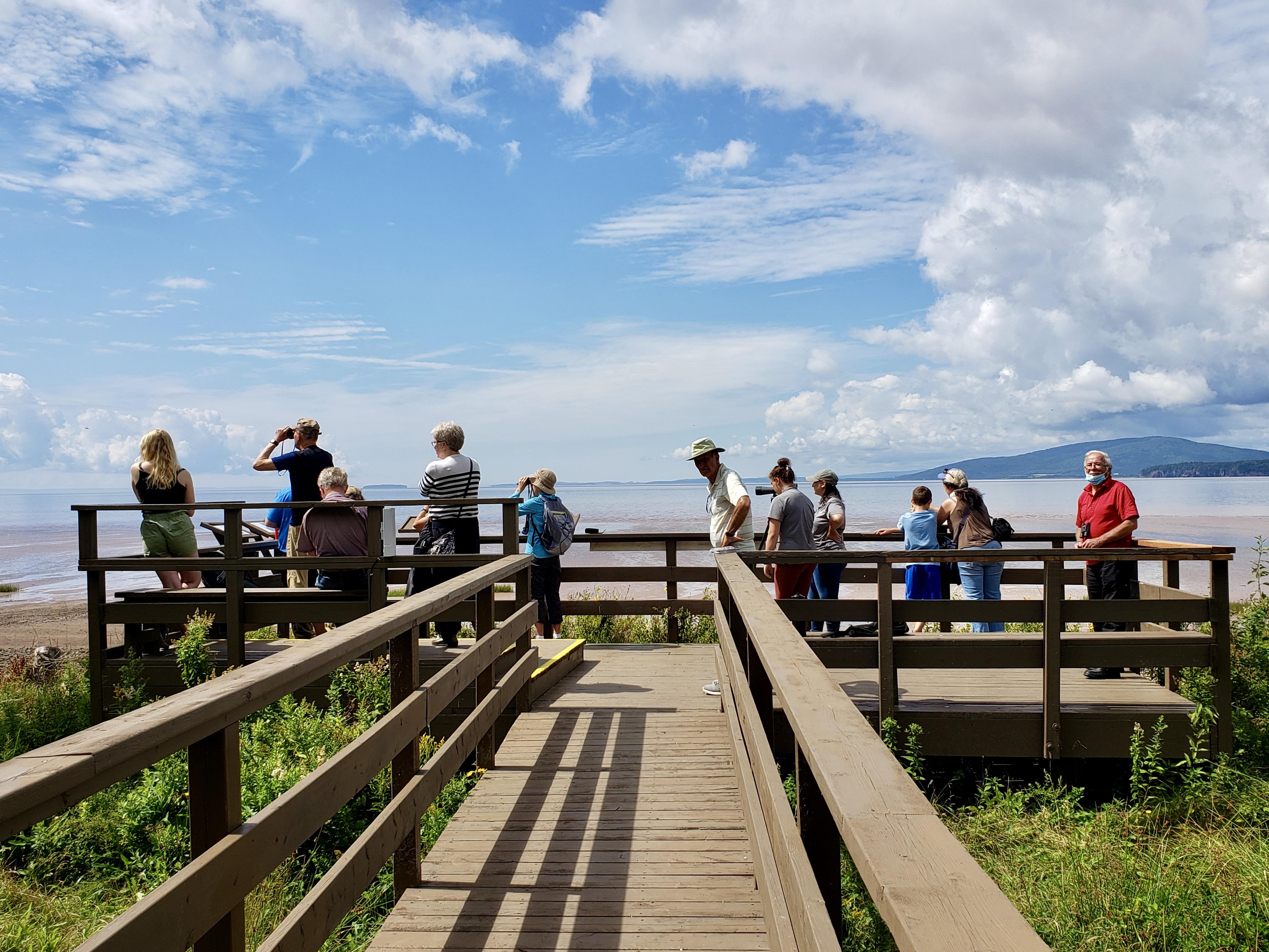 Ornithologues