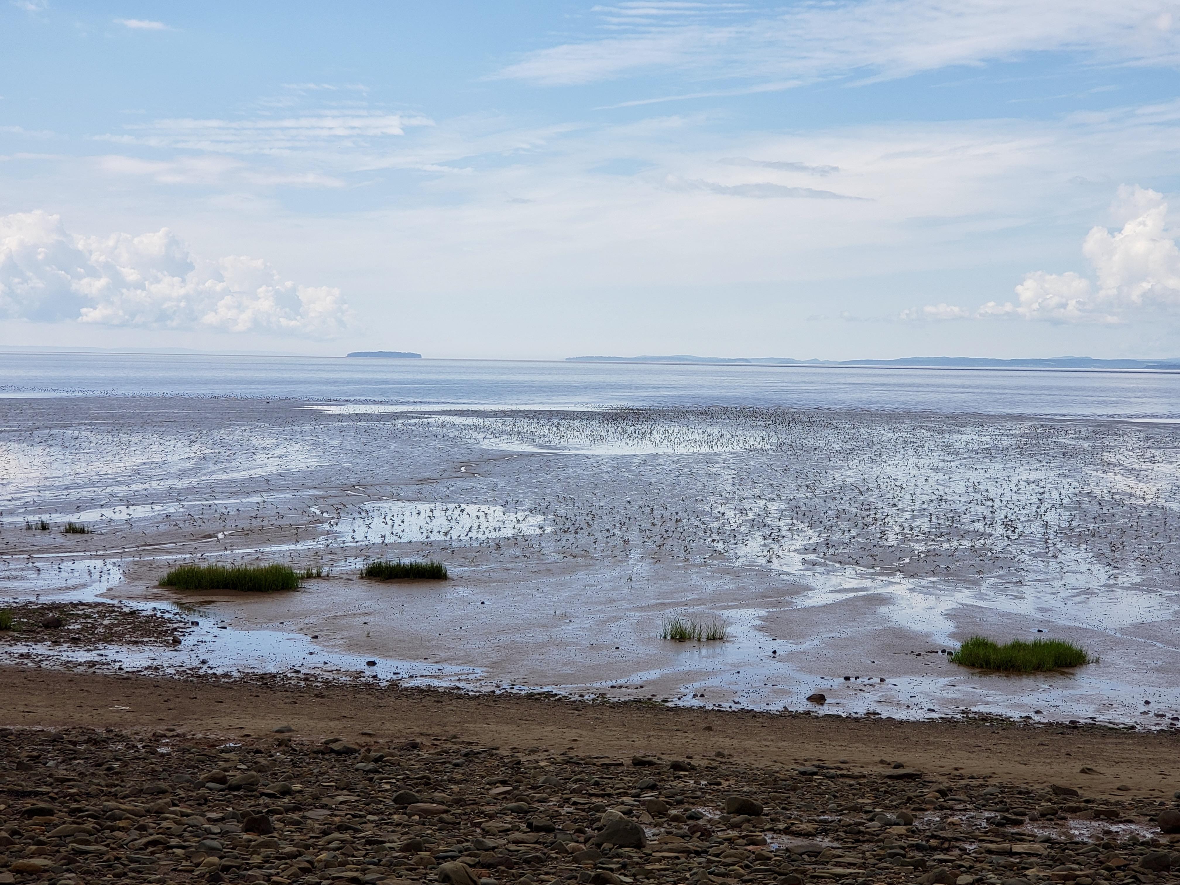 Rivage