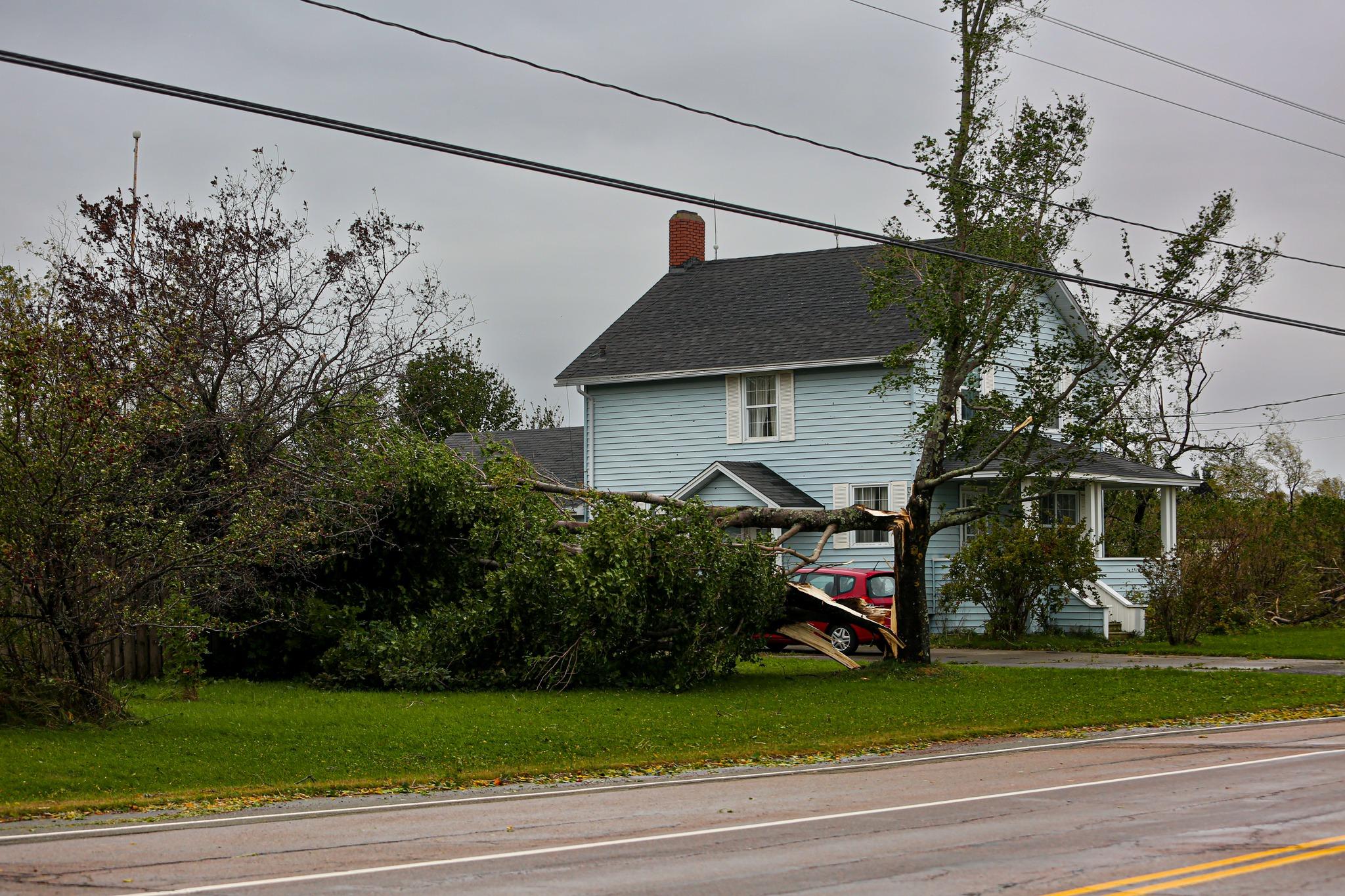 Charles Philippe Dray 1