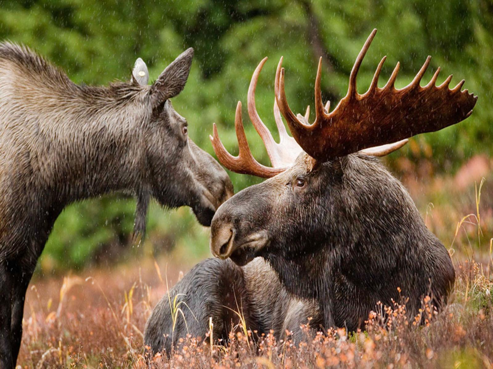 On chasse l’original cette semaine ! Image 1