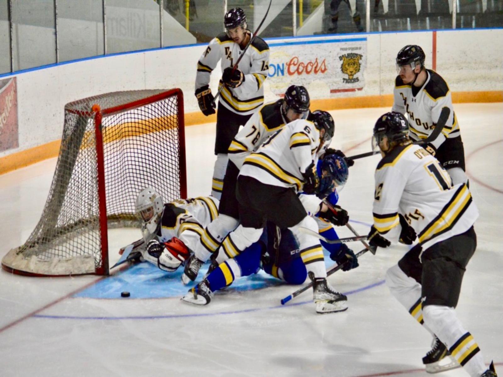Les Aigles Bleus l’emportent sur les Tigers Image 1