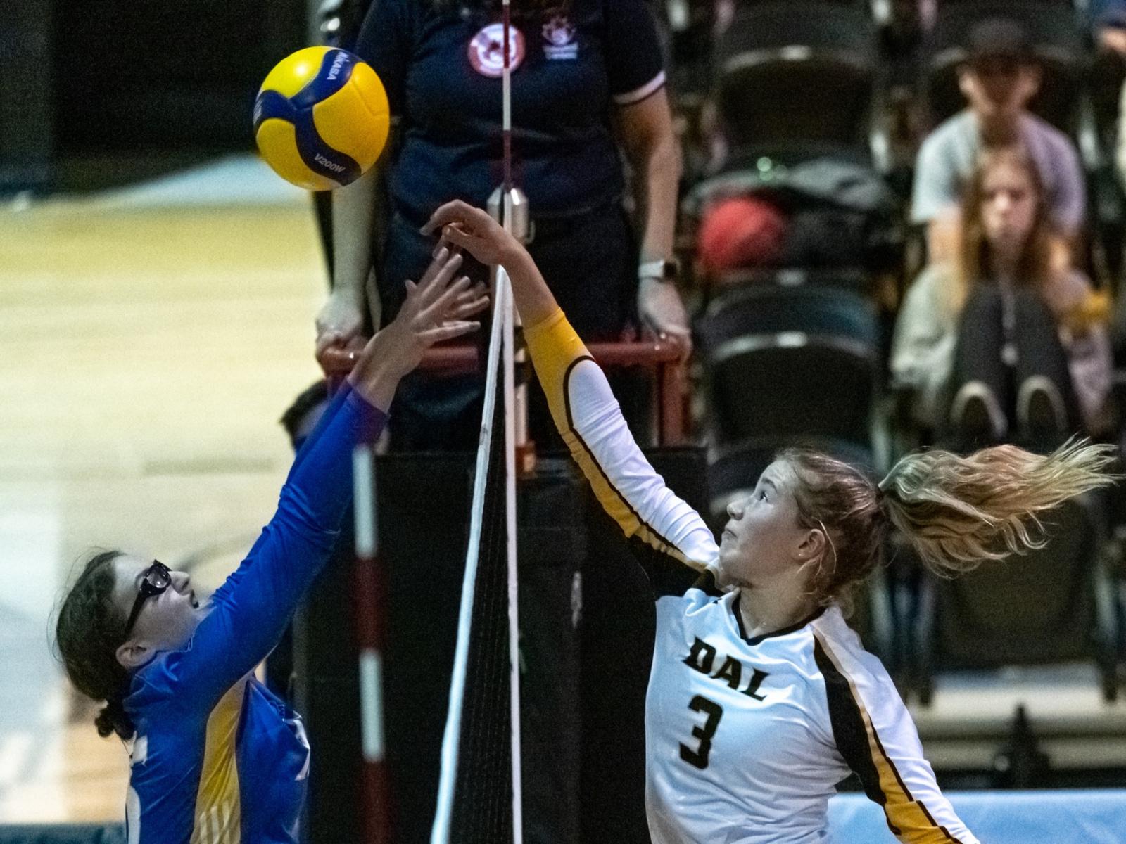 Volleyball féminin : Défaite des Aigles Bleues 3-2 Image 1