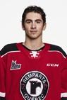 Nicolas Savoie remparts 2020