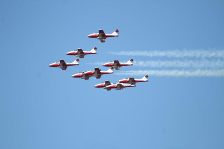 snowbirds 2020 Small