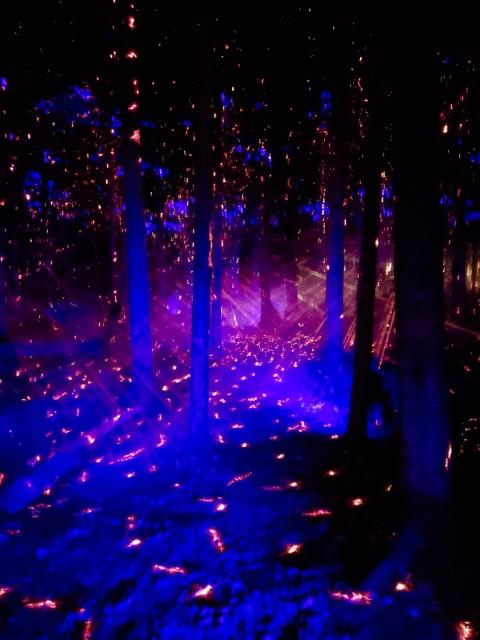 Lumina 5 couleurs feeriques Small