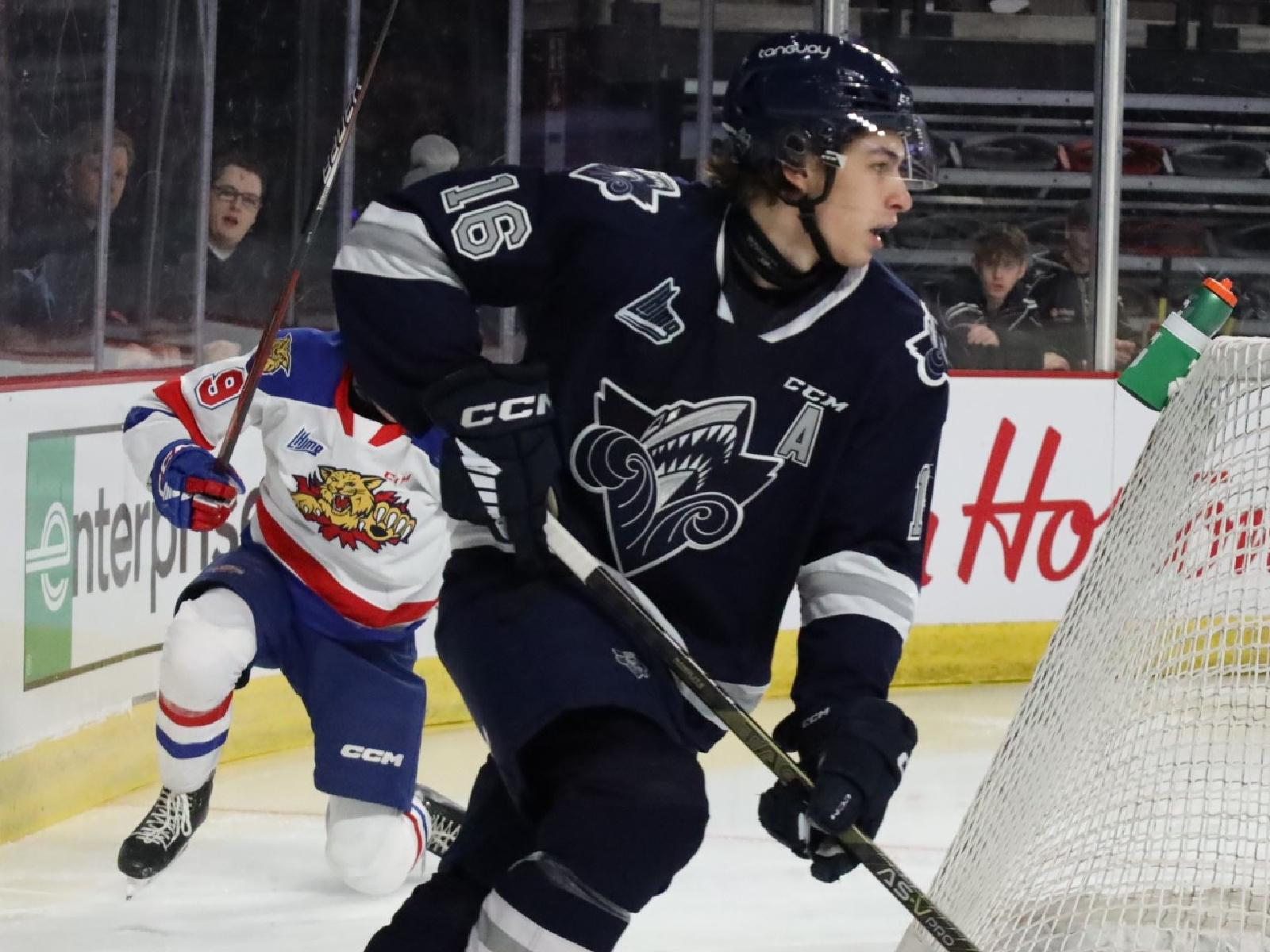 Les alignements des équipes de la LHJMQ se précisent Image 1