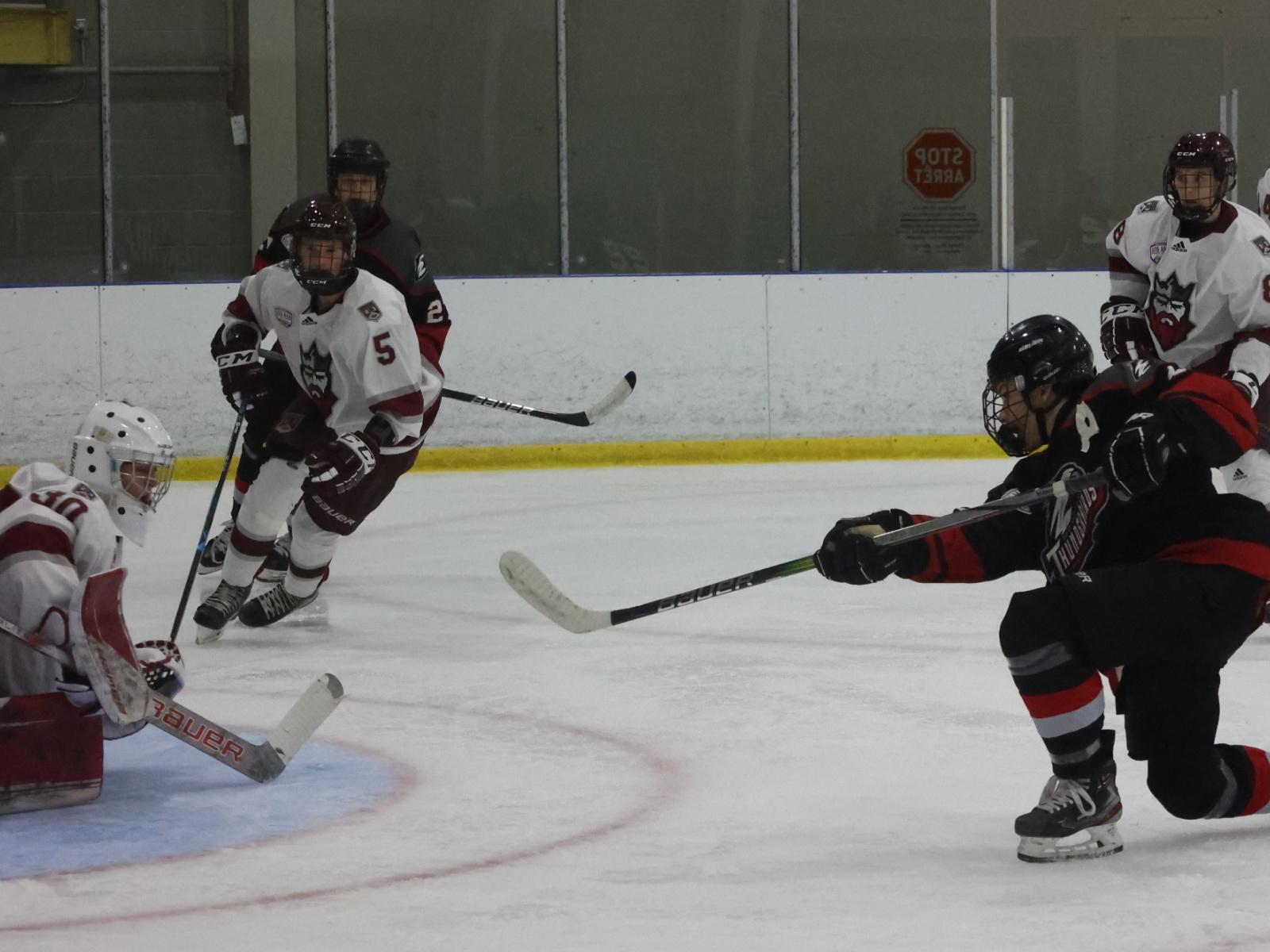 Deux victoires pour les Thunderbirds Image 1
