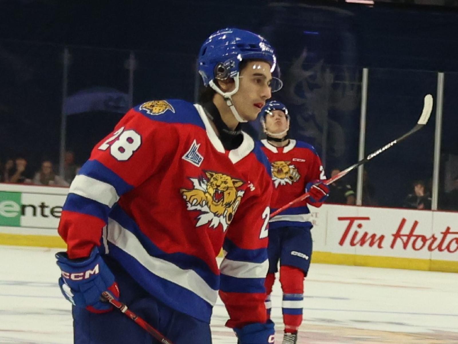 Les Wildcats se hissent au 2e rang Image 1