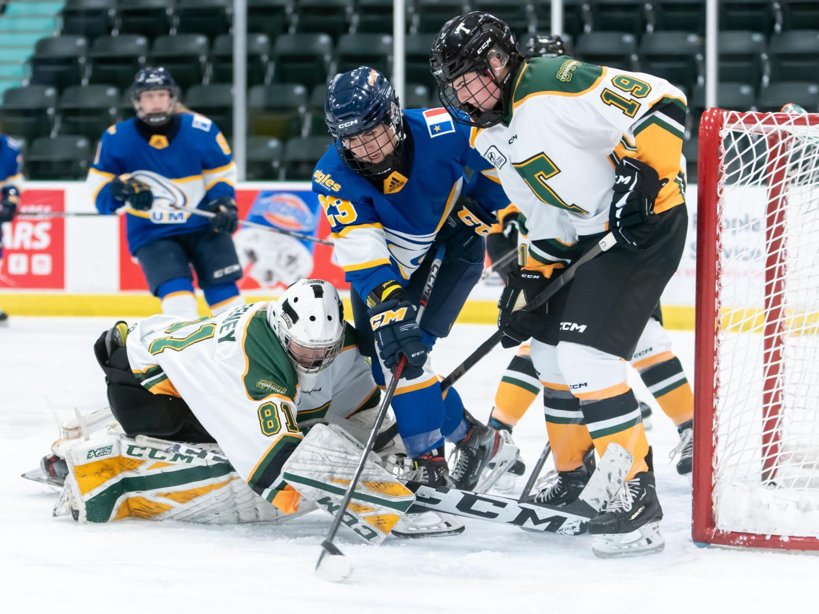 Revers et victoire des Aigles Bleues au hockey Image 1