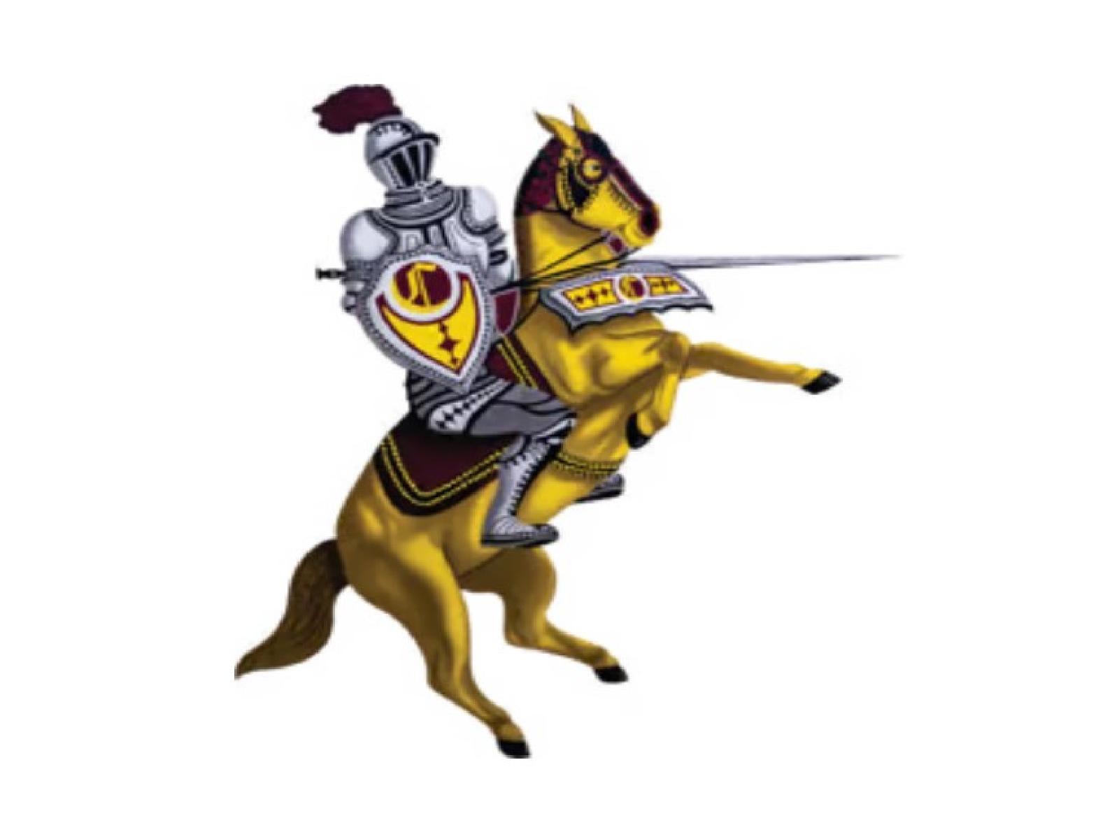 Victoire de 5 à 1 des Cavalières Image 1