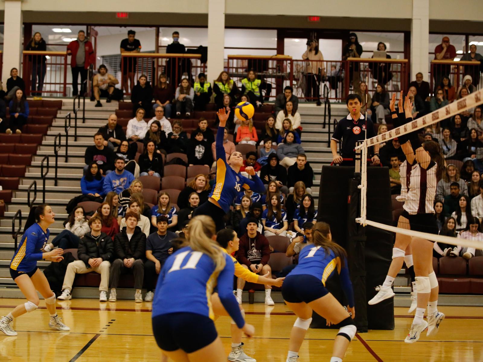 Volleyball : Aigles Bleues vaincues par les Huskies Image 1