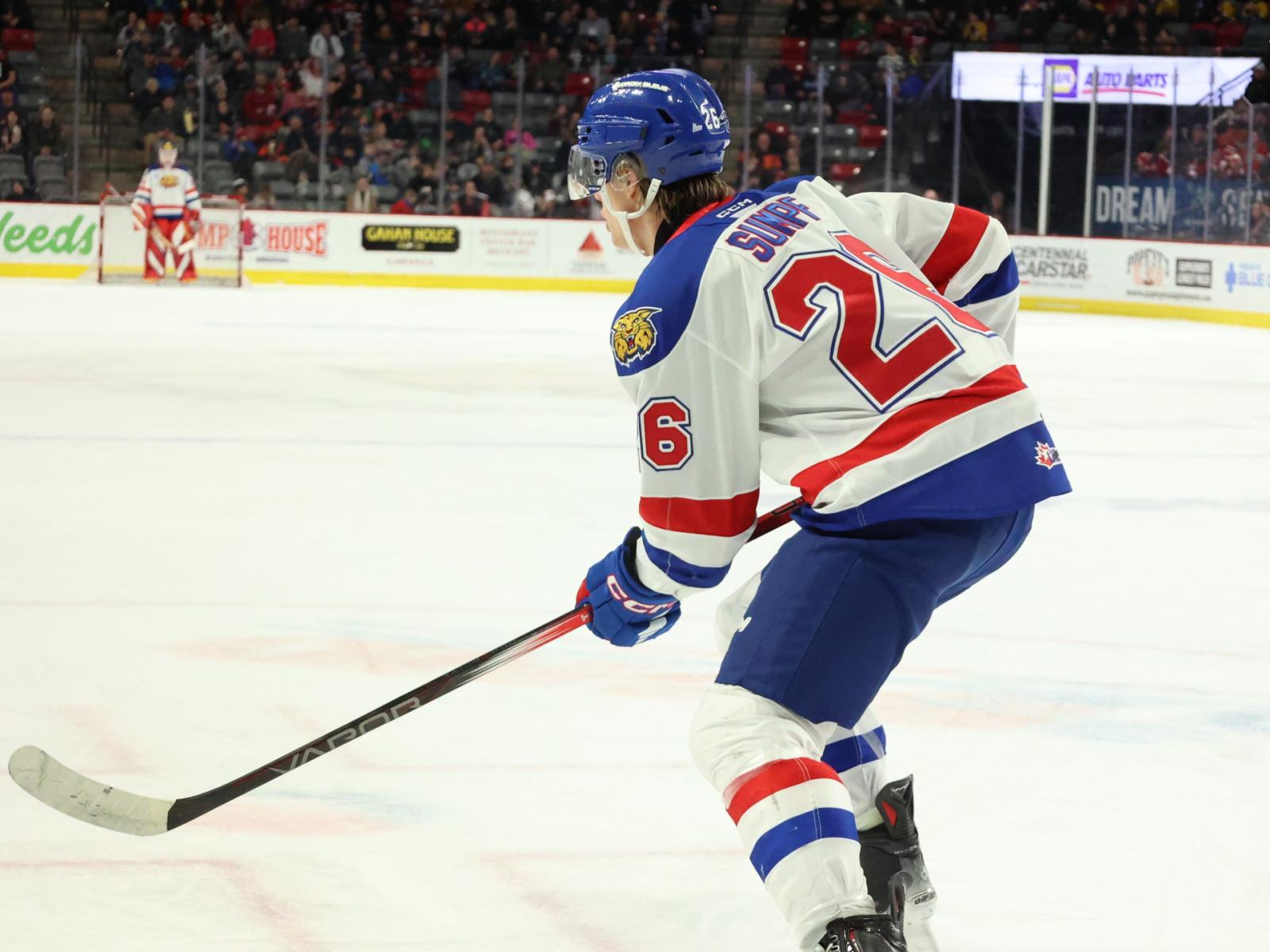 Victoire et revers des Wildcats devant leurs partisans Image 1