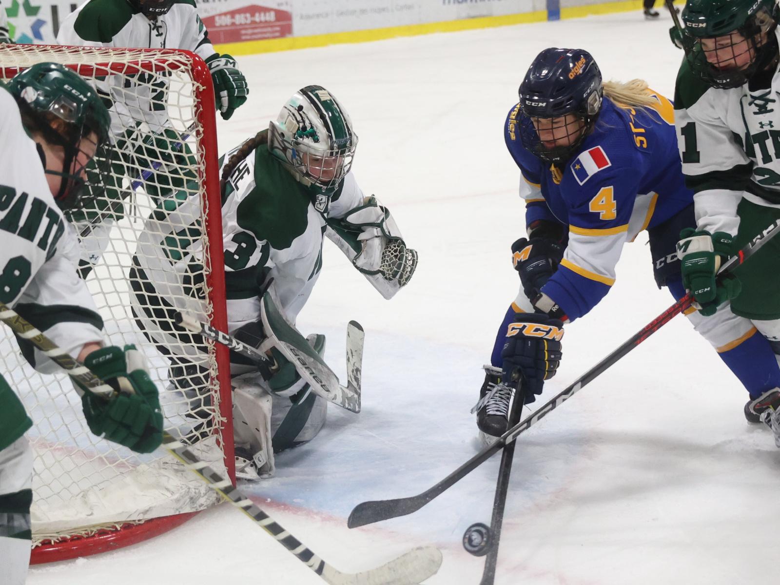 Les Aigles Bleues ont raison des Panthers Image 1