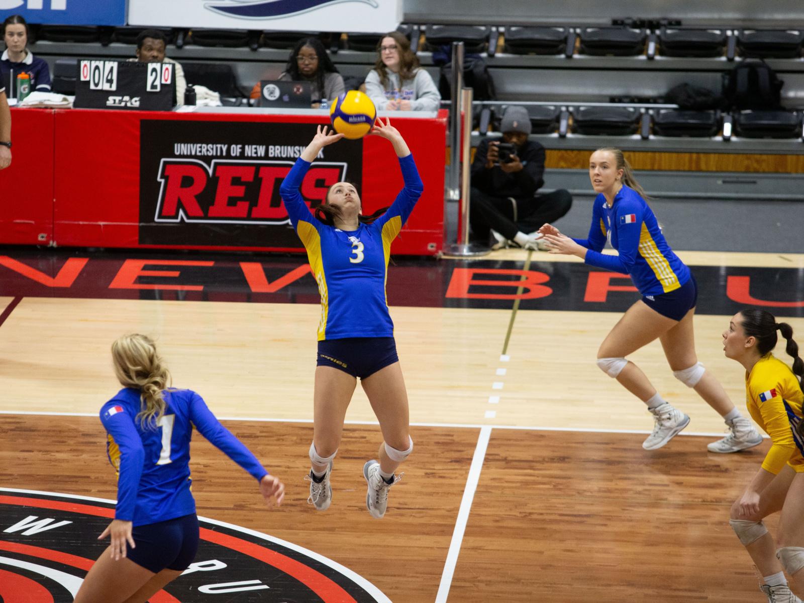 Volleyball : Saison des Aigles Bleues terminée Image 1