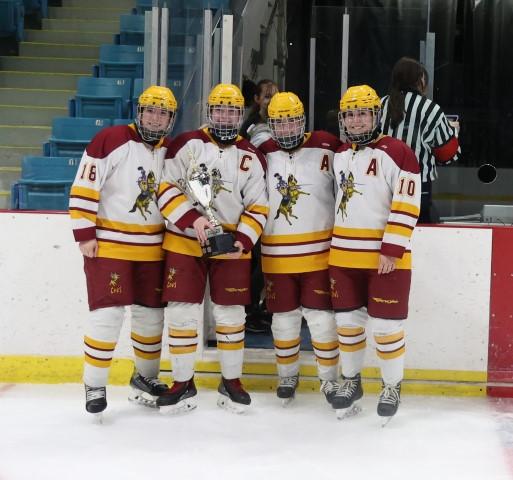 bannière Cavalières Keltiic Small