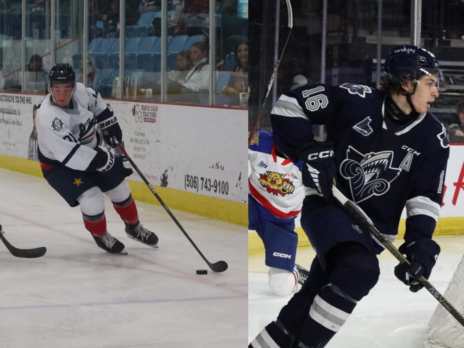 Alexis Daniel et Simon Maltais se joignent aux Aigles Bleus ... Image 1