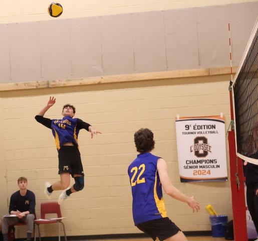 Alexx Bourque Small