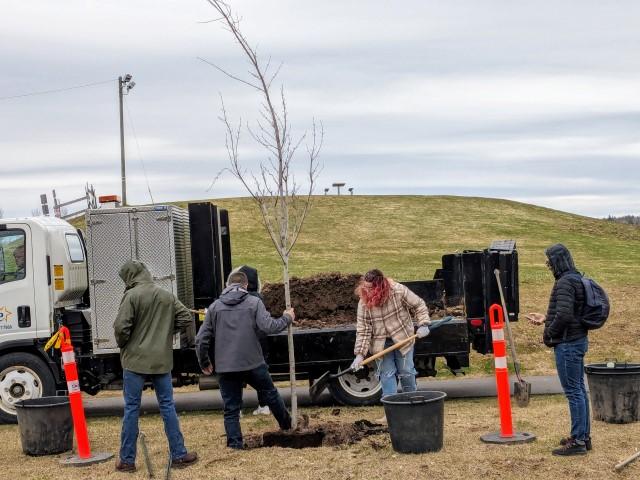 PXL 20240420 140355493.MP Small