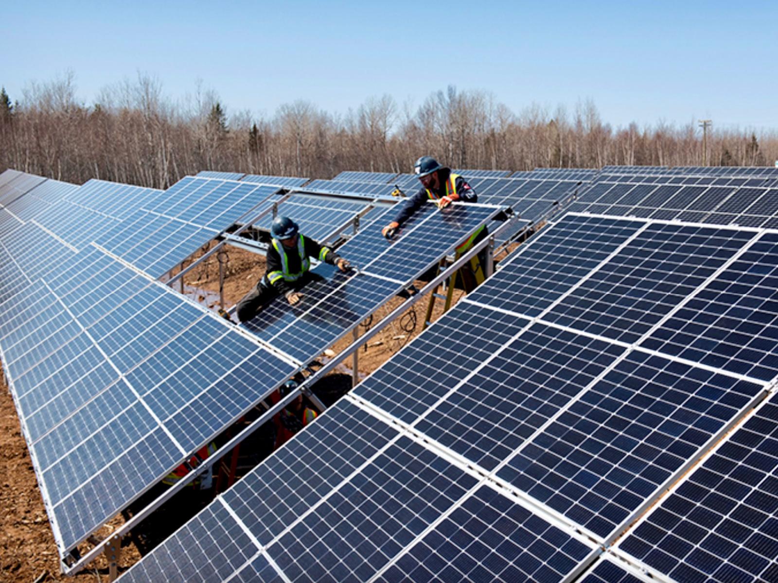 Des fonds sont alloués à Shediac pour améliorer ... Image 1
