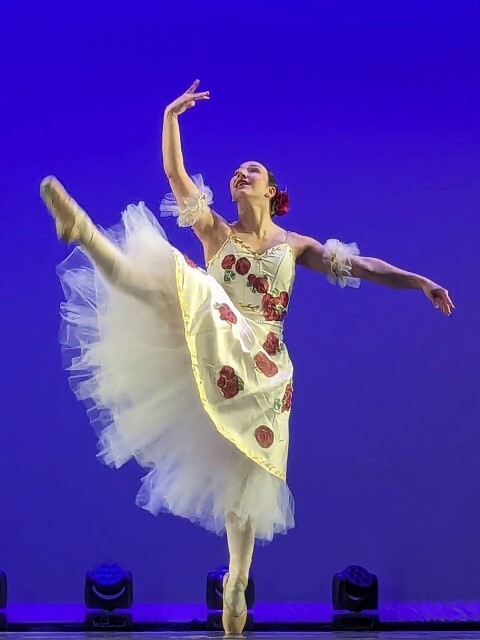 Ballet classique Small