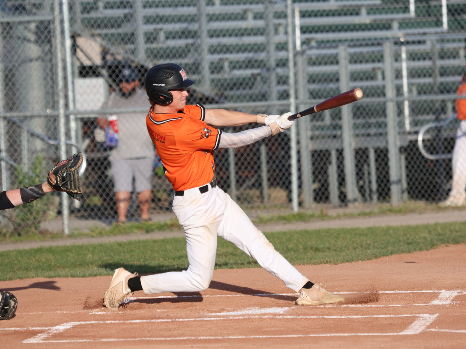 Les Mudcats blanchissent les Alpines Image 1