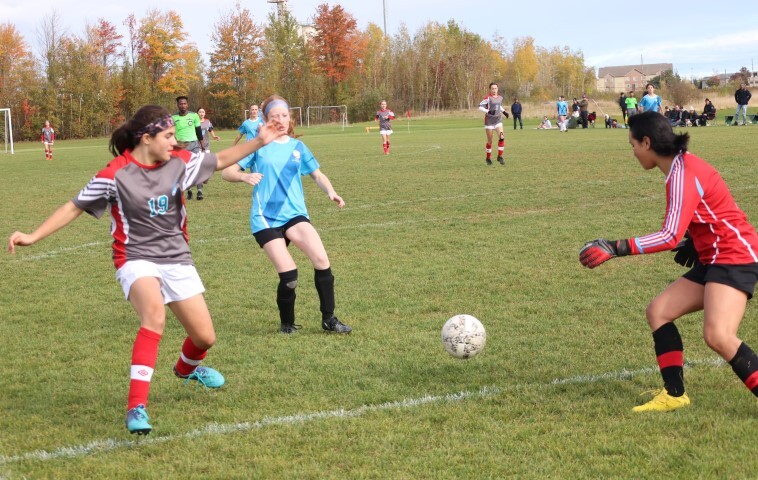 soccer 2 Small