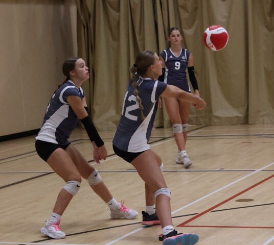 volleyball sud est Small