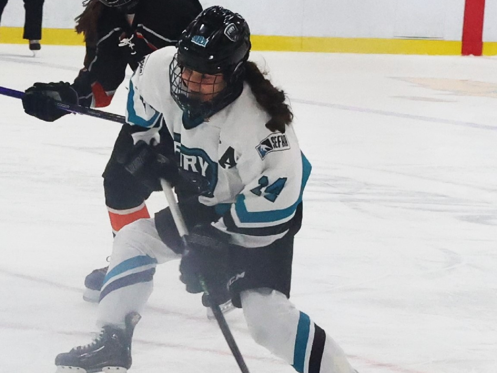 Des jeunes du Sud-est aux sessions de développement hockey Image 1