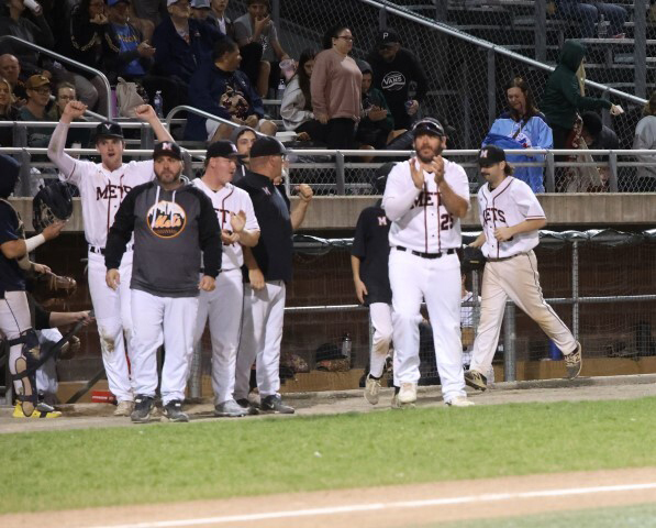 mets Small 2
