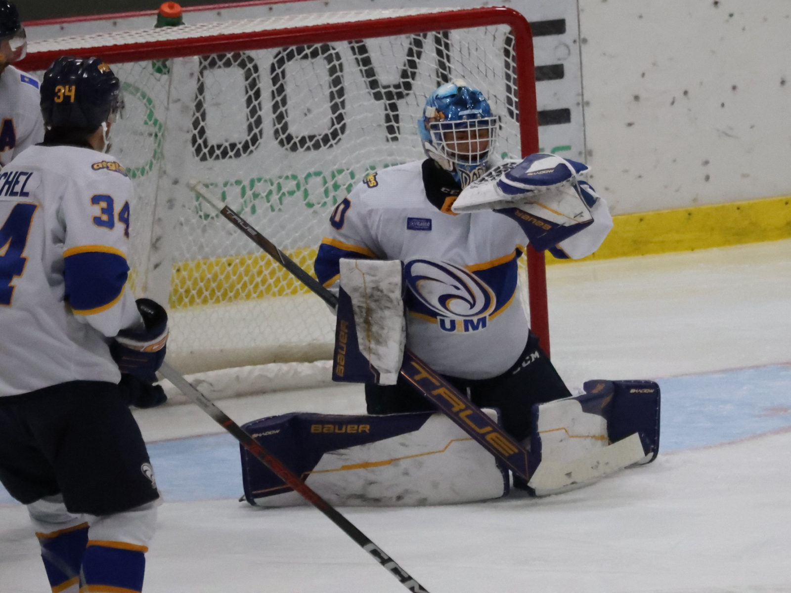 Darveau mène les Aigles Bleus à un jeu blanc face aux Tigers Image 1