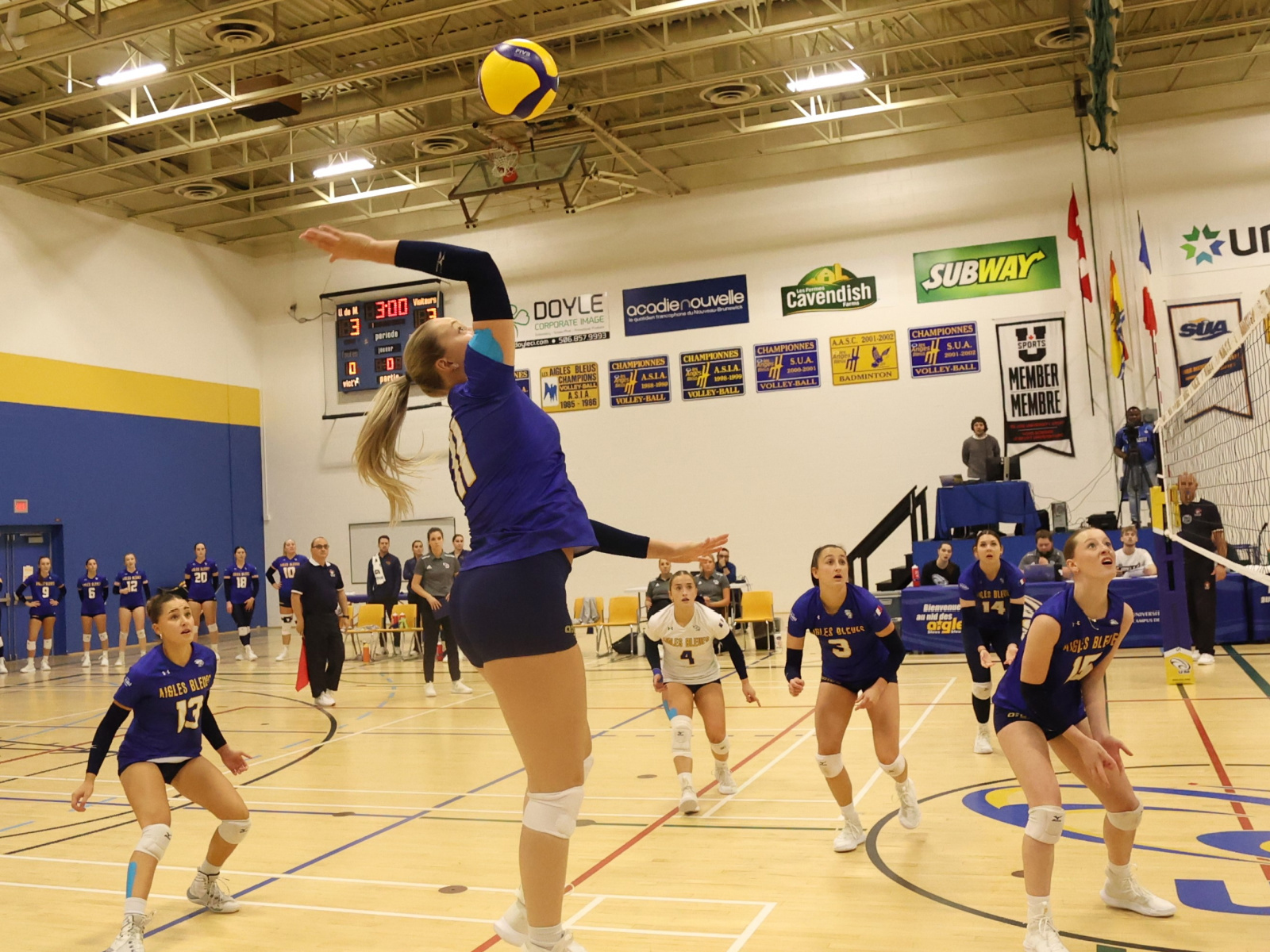 Volleyball : Les Tigers persistent et l’emportent Image 1