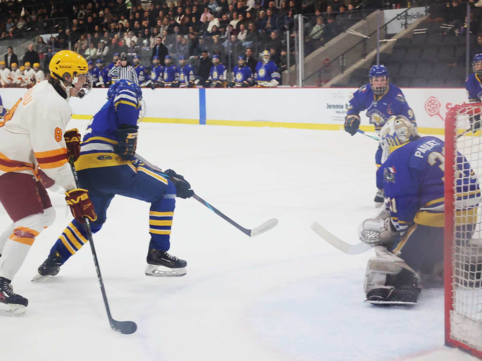 Nicolas Nowlan donne le titre aux Cavaliers Image 1