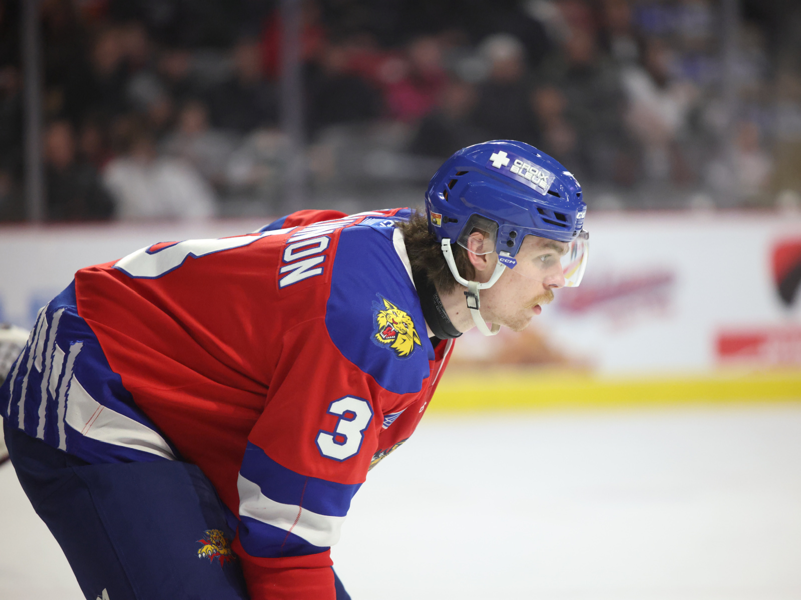 Deux gains et un revers des Wildcats au Québec Image 1