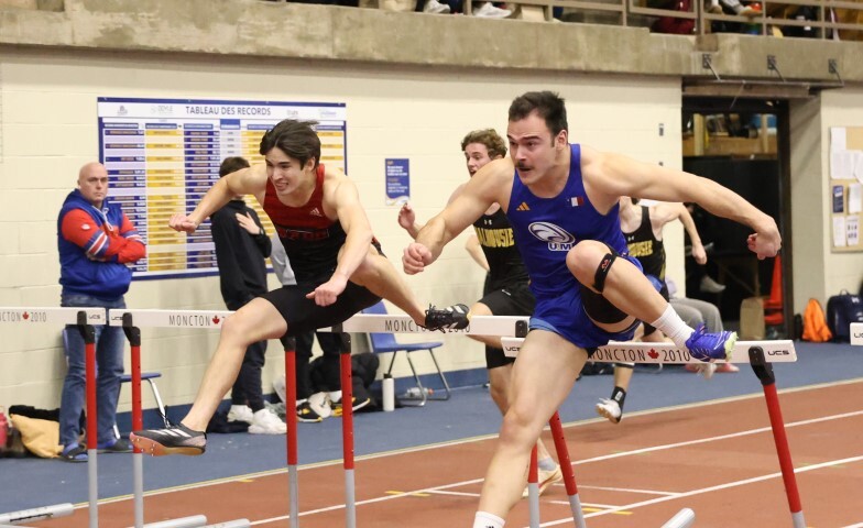 Guillaume Basque 60mh Small