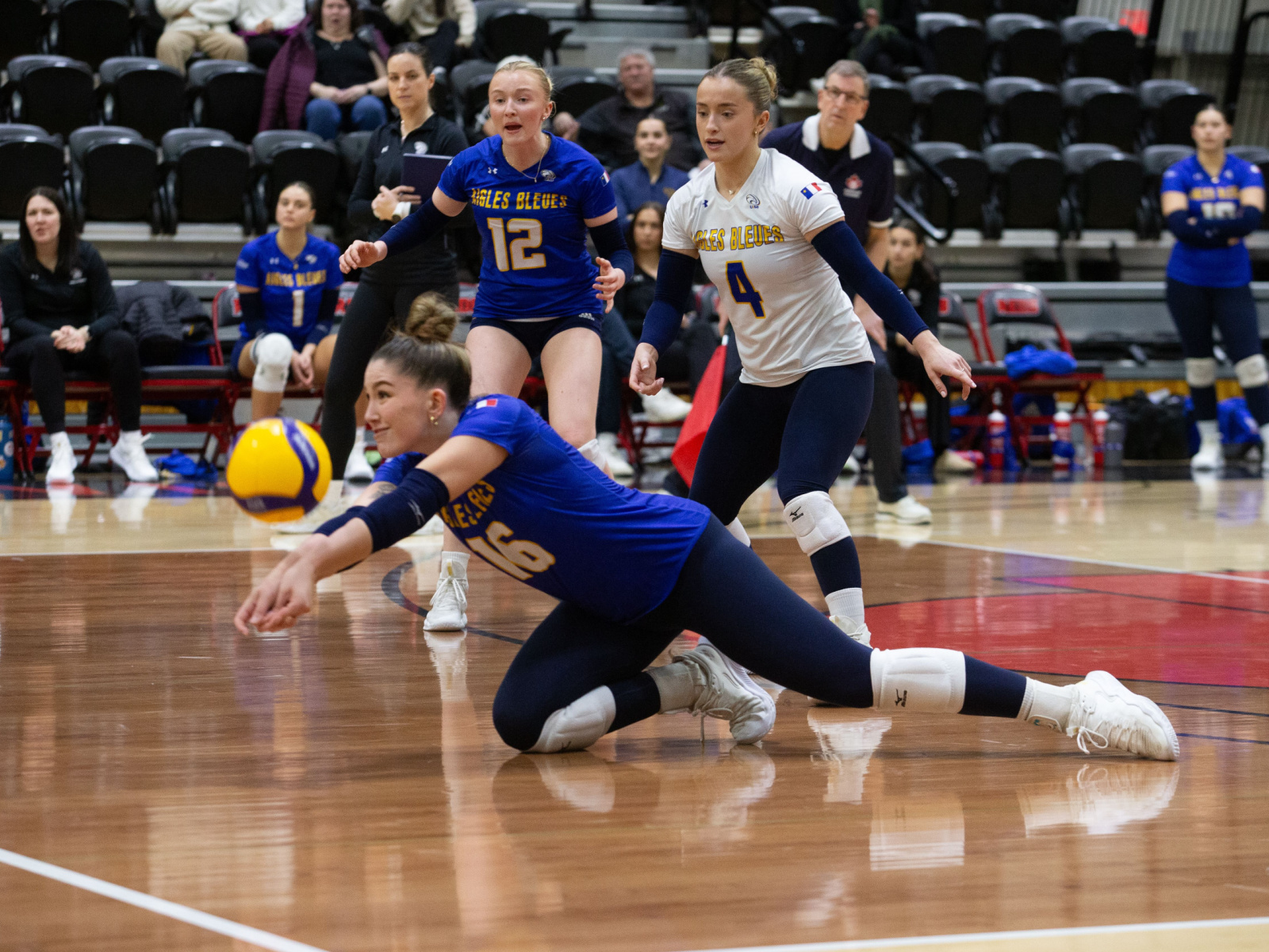 Volleyball : défaite des Aigles Bleues samedi à Fredericton Image 1