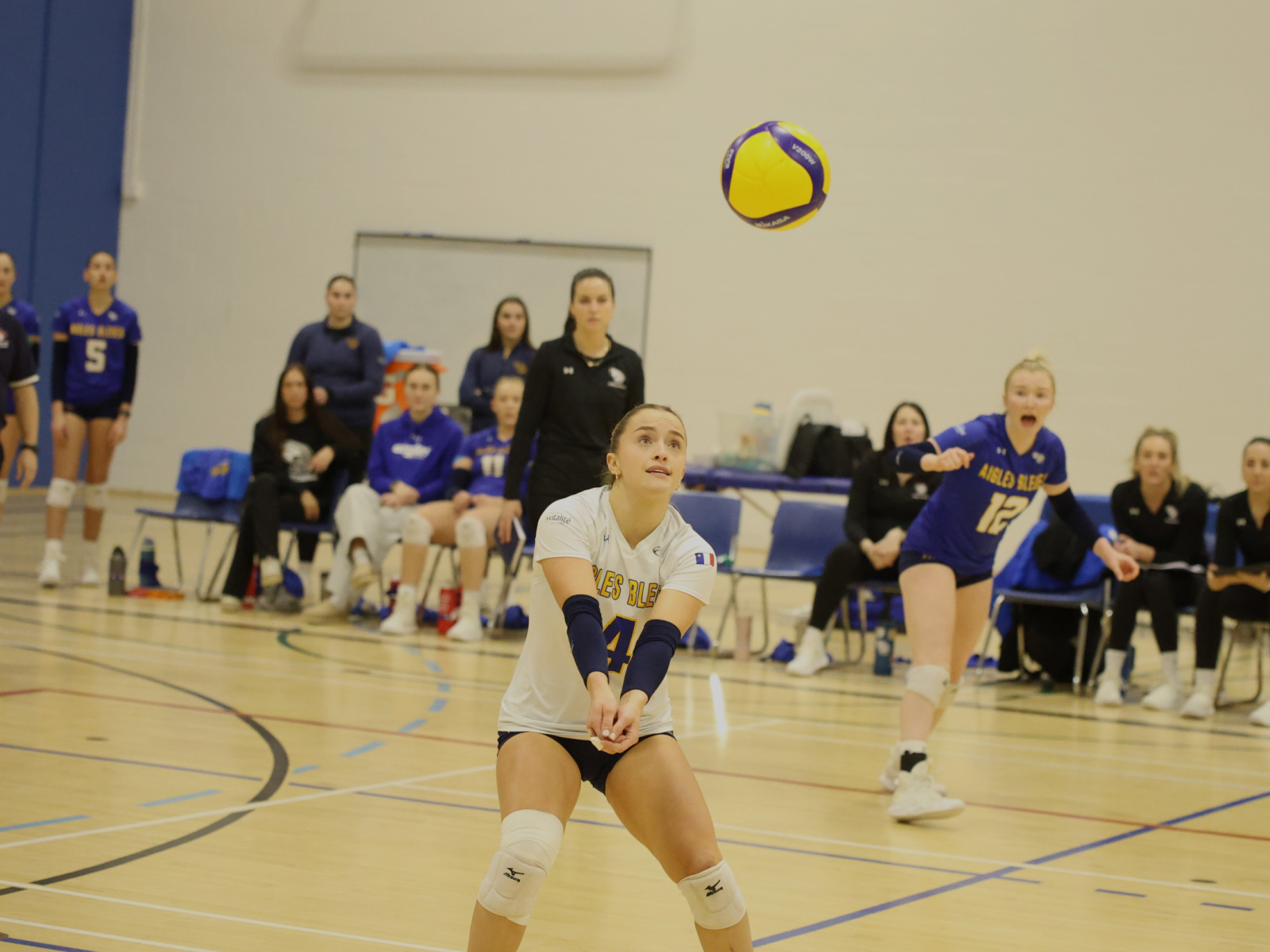 Petite forme des Aigles Bleues au volley Image 1
