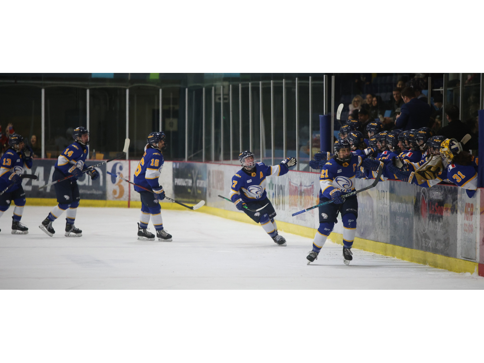 Labrie donne la victoire aux Aigles Bleues Image 1