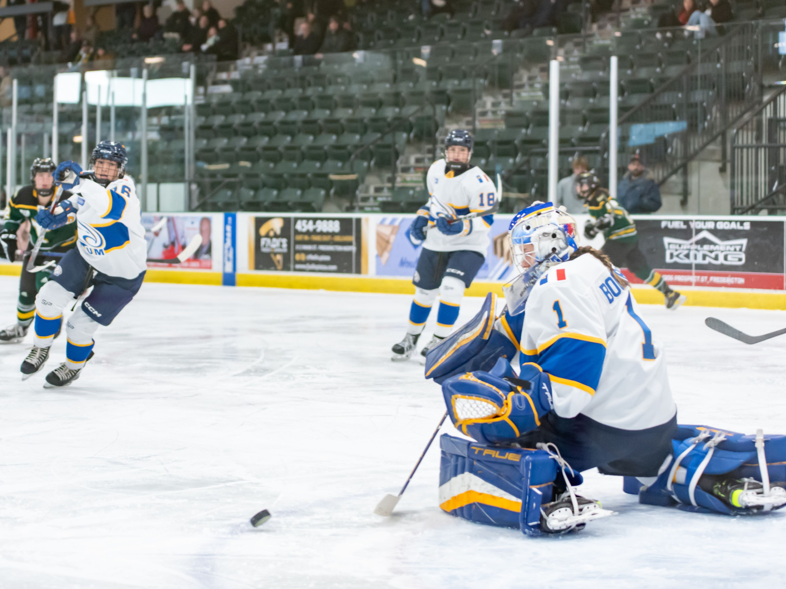 Hockey : Gain et revers des Aigles Bleues Image 1