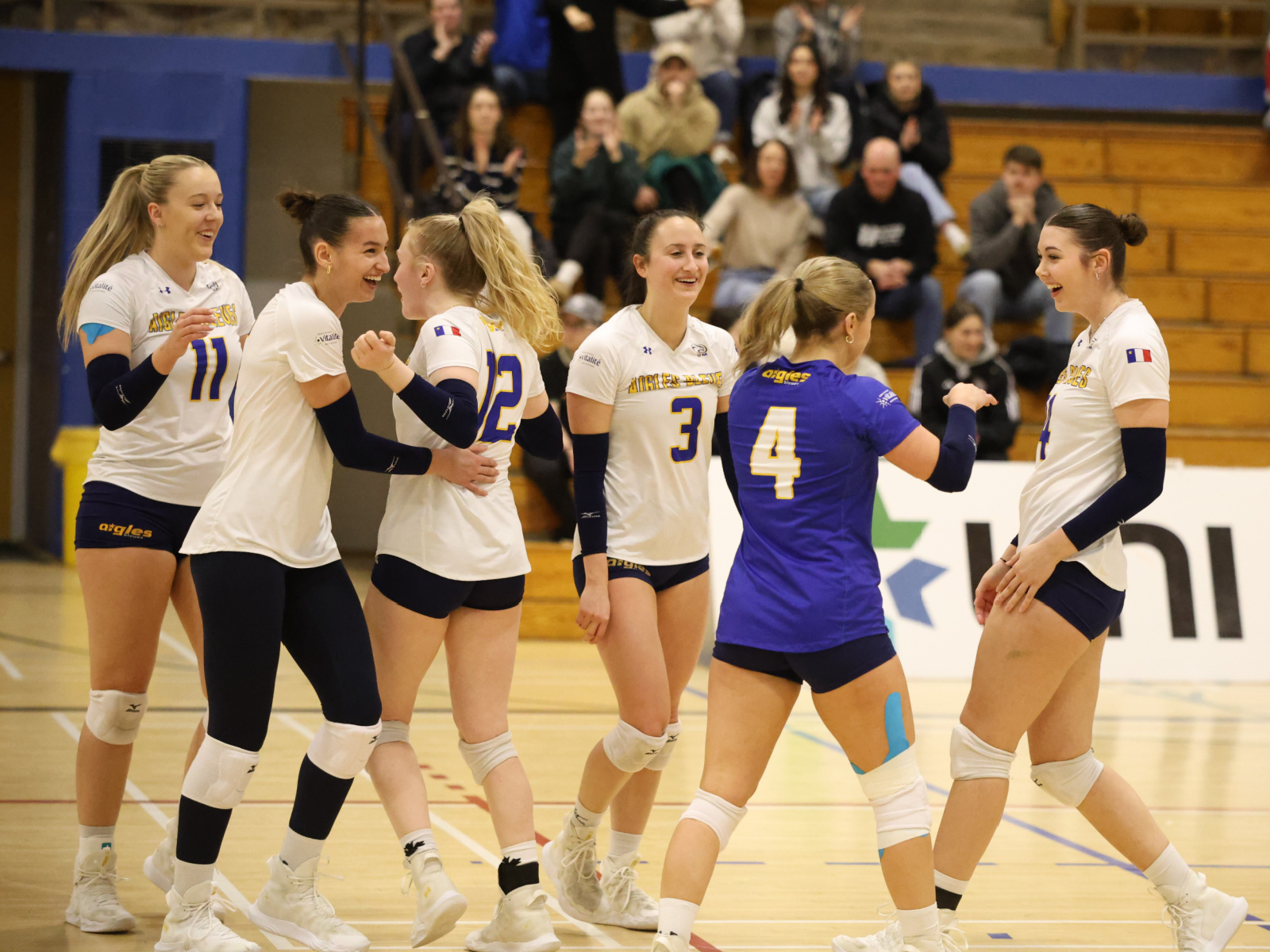 Volleyball : deux revers de 3 à 2 des Aigles Bleues Image 1