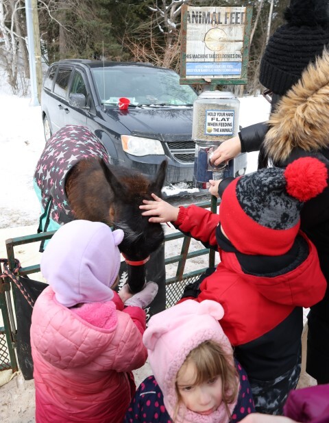 festipolaire 2 Small