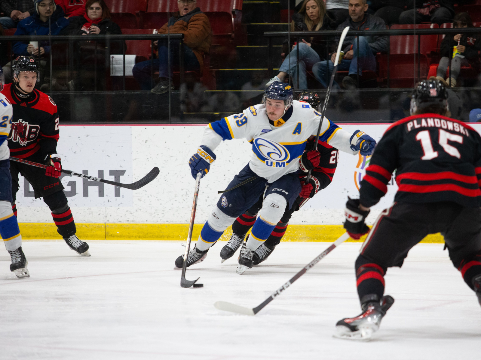 Les Reds et les Aigles Bleus en finale Image 1
