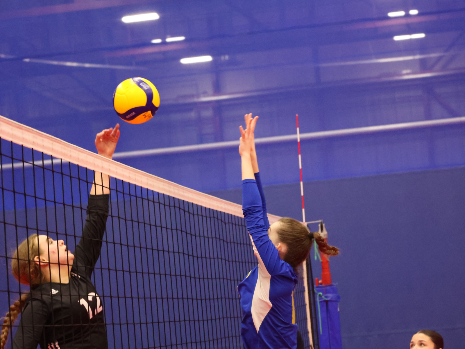Volley : tournoi féminin à l’Université de Moncton en fin ... Image 1