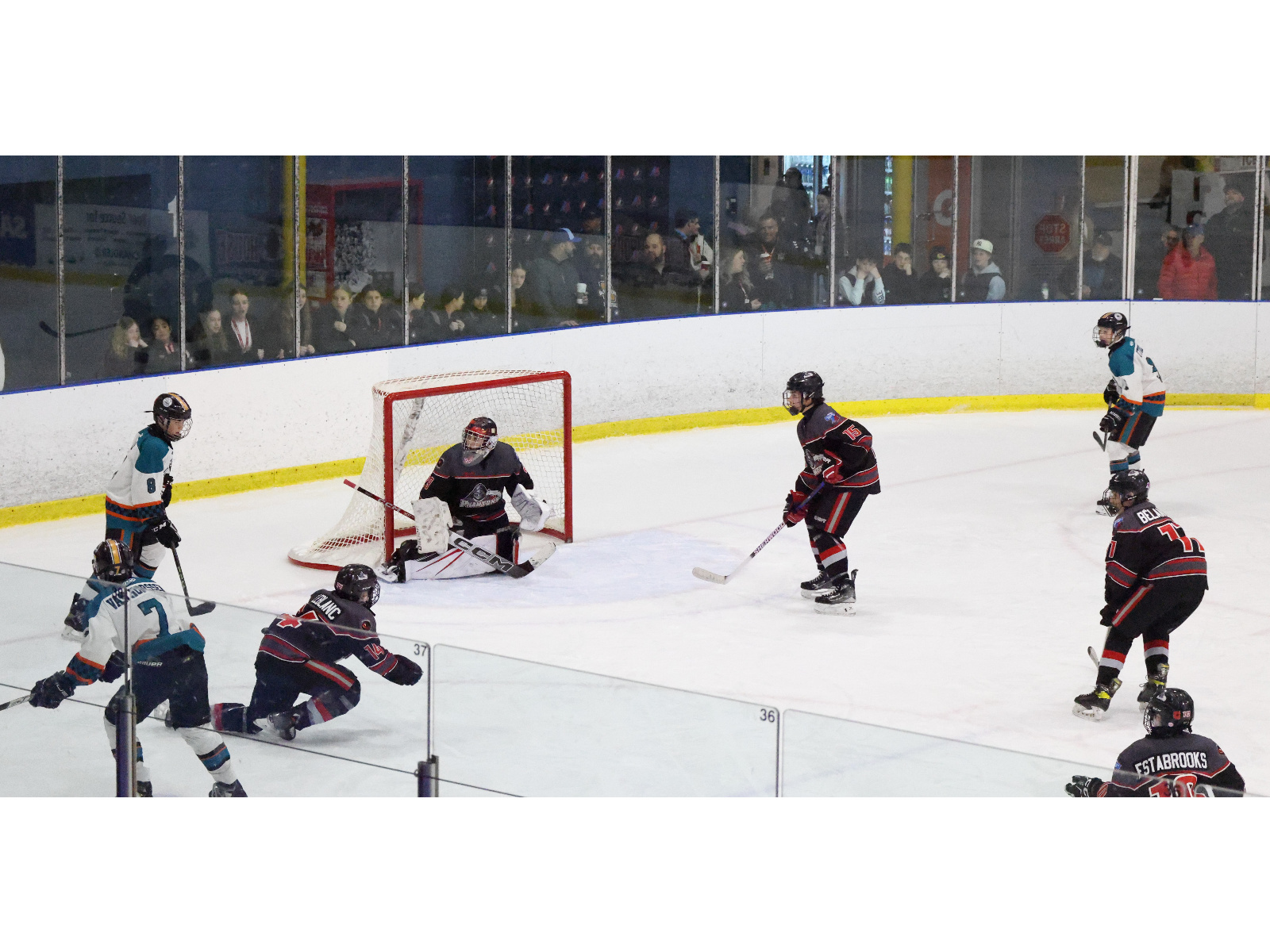 M14 : les Phantoms s’inclinent en finale Image 1