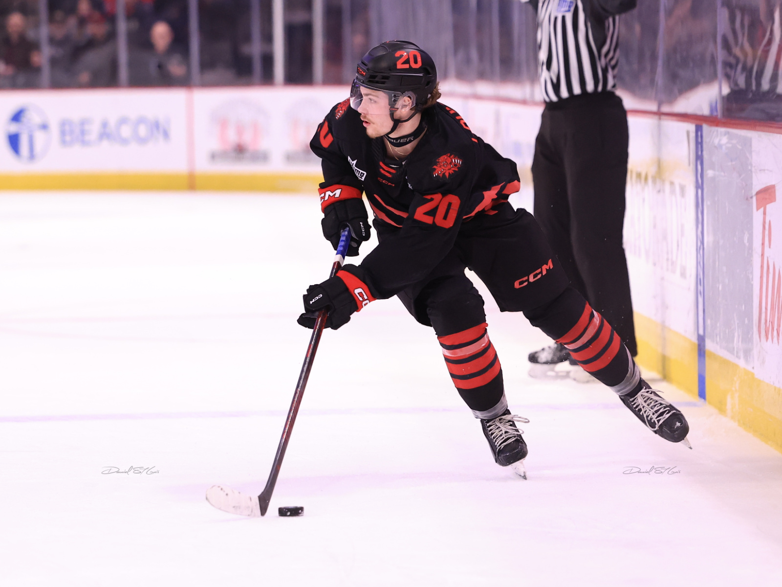 LHJMQ : les Wildcats de Moncton en finale Image 1