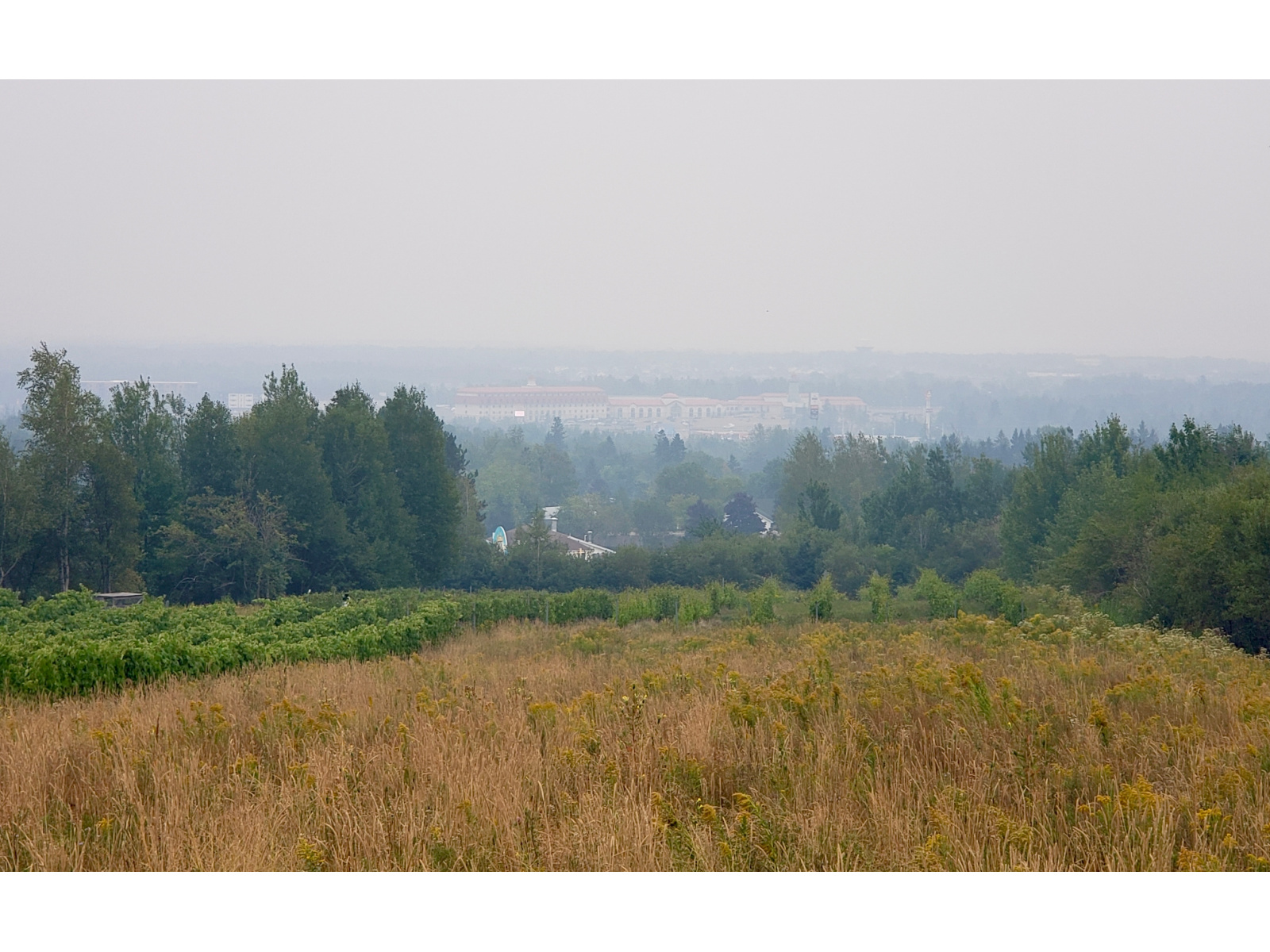 INCENDIES : ÉCRAN DE FUMÉE SUR LE SUD-EST Image 1